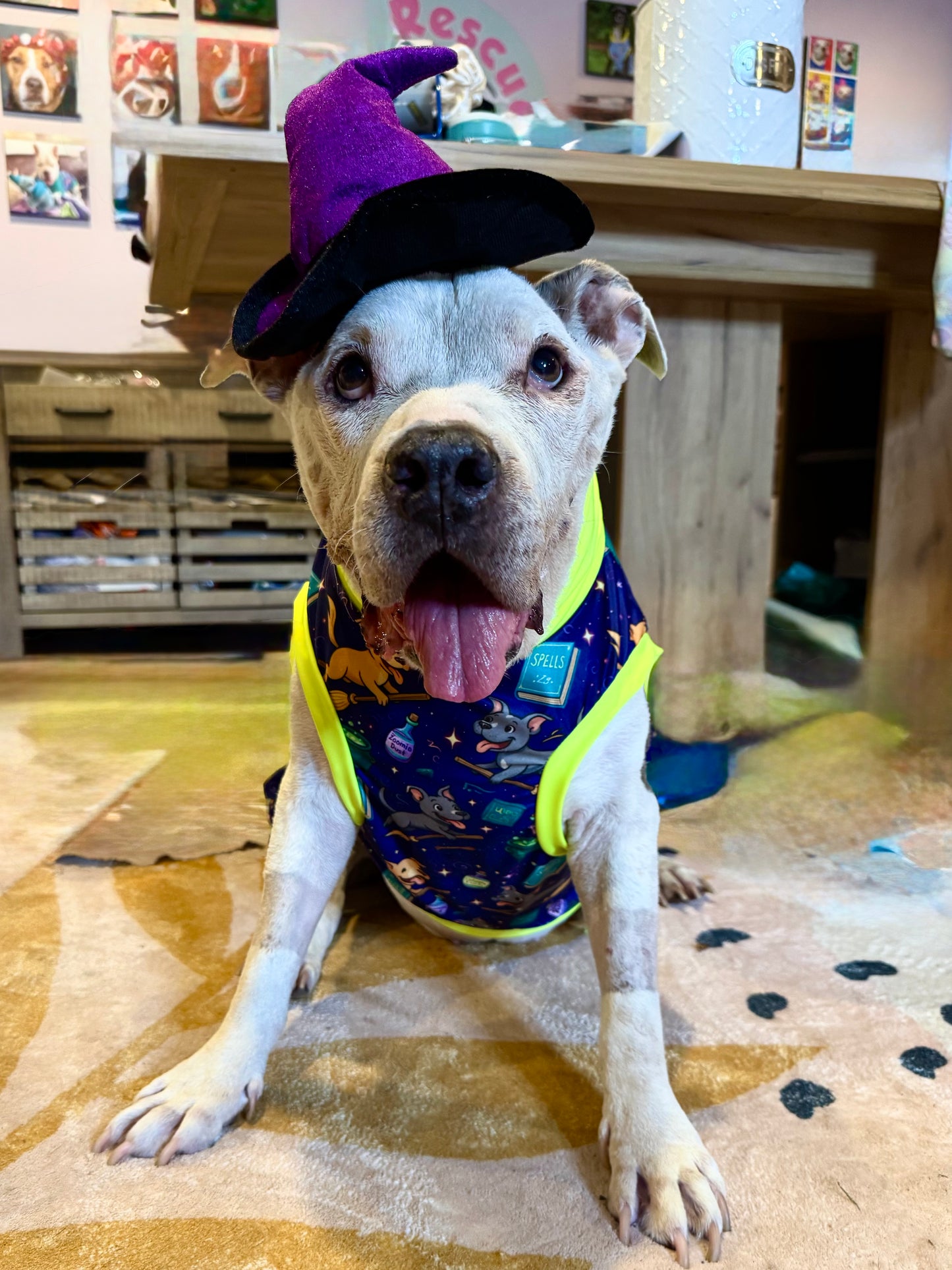 Spells & Pit-ches - Dog Pajama with Neon Neck & Trim/Sleeves