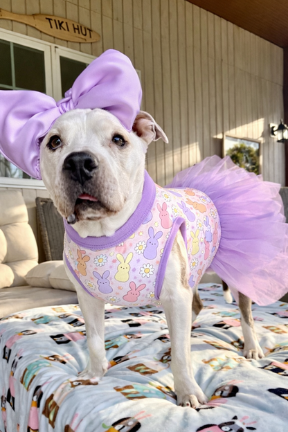 Daisy Bunny Peeps Pajama with Lavender Neck & Trim/Sleeves