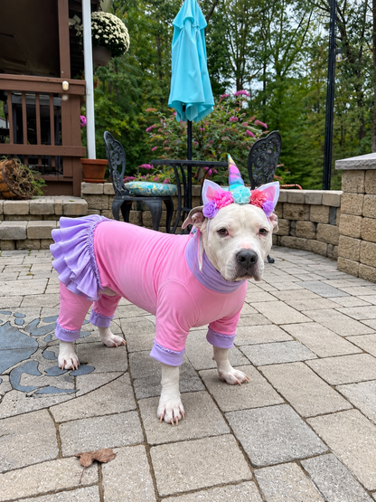 Everyday Solids 4 Legged PAWjamas with Turtle Neck (Available in any pattern)