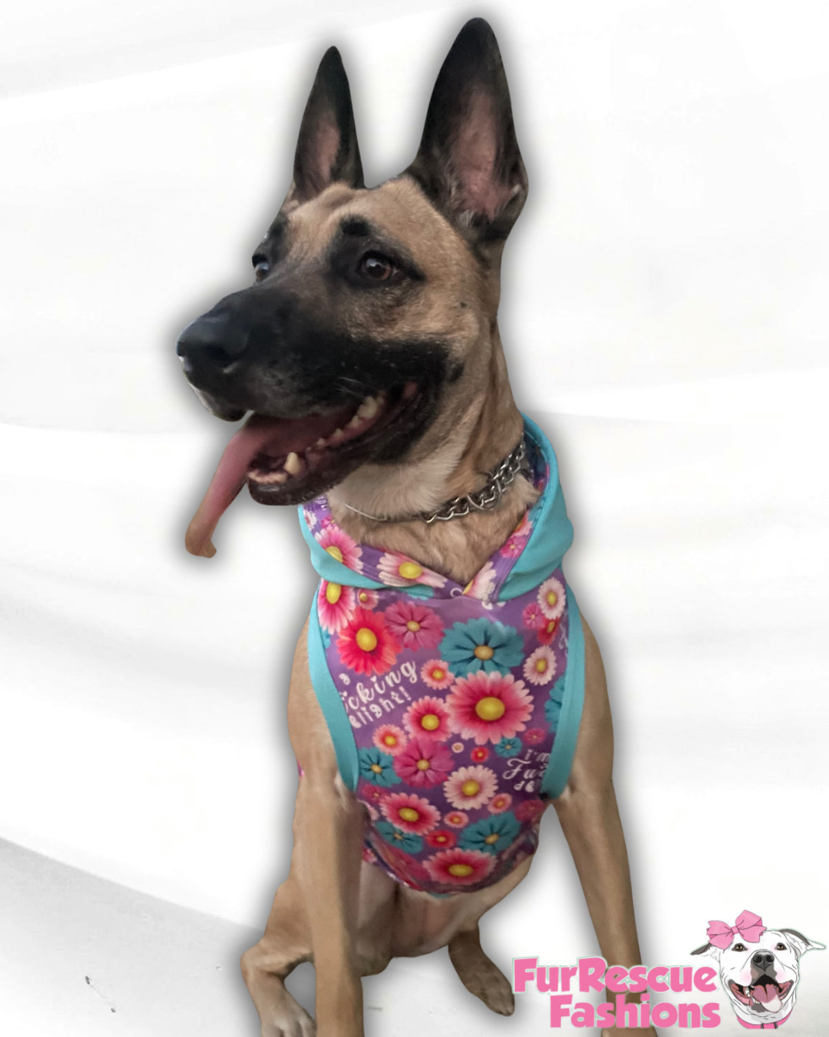 Delighted Daisy Dog Shirt/Dress/4-Legged PAWjama (UV50 Fabric)