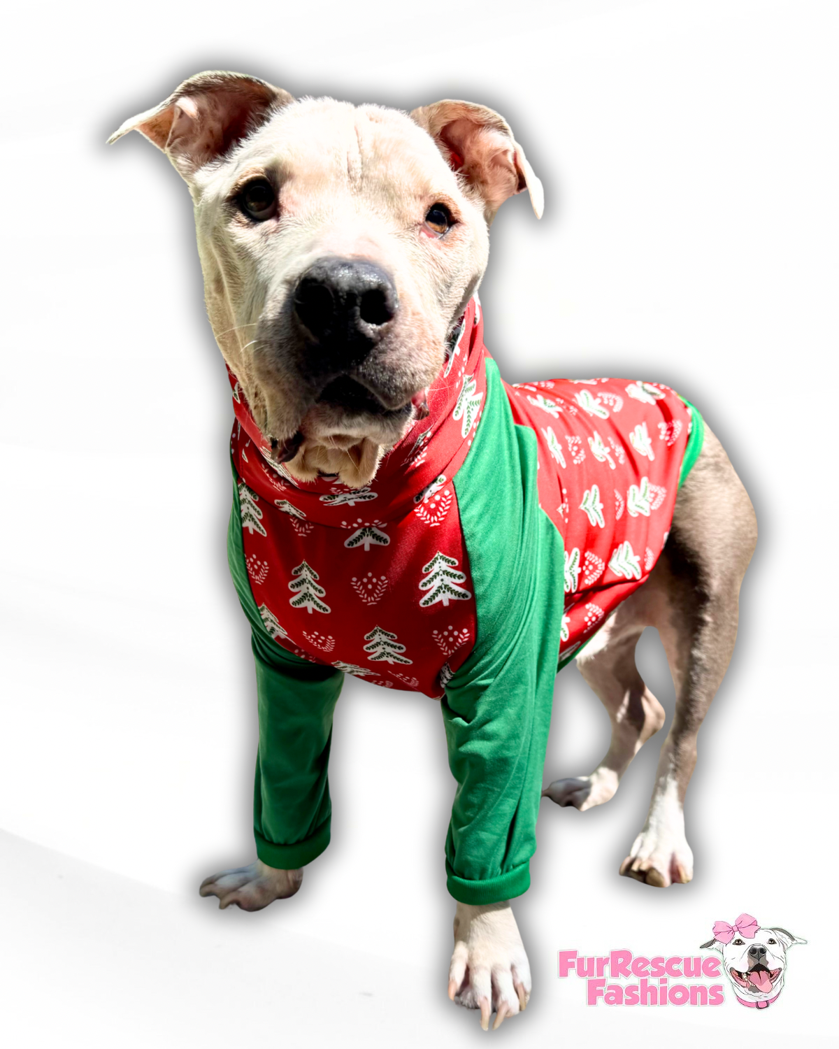 Evergreen Joy Dog Pajama with Green Neck & Trim/Sleeves