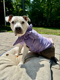 Couture Violet Floral Dog Shirt or Dress