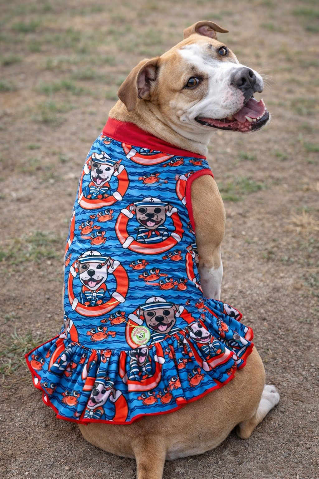 Nauti-Bull Crew: Let’s Sail Pitties Dog Dress With Ruffle / With Sleeves or Sleeveless