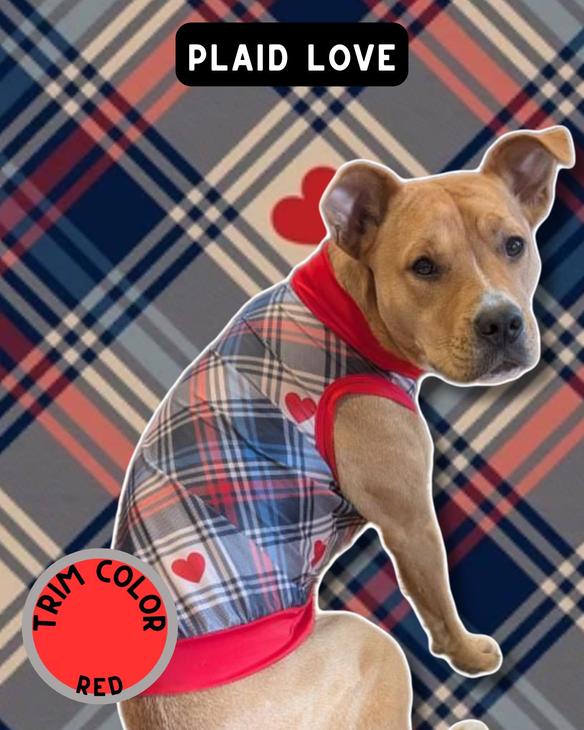 Plaid Love - Dog Pajama with Red Neck & Trim/Sleeves