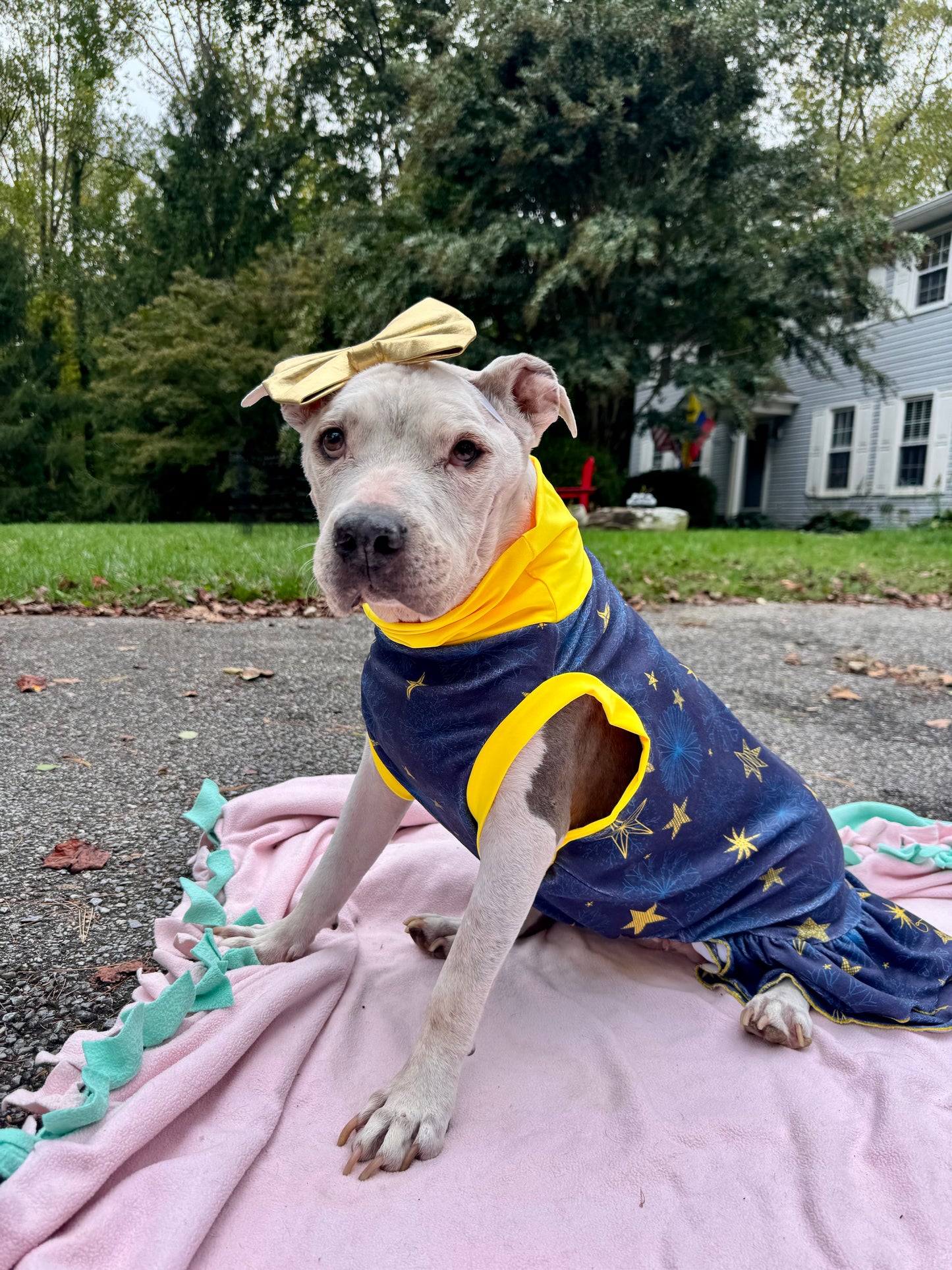 The Stars That Listen Dog Pajama with Gold Neck & Trim/Sleeves