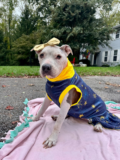 The Stars That Listen Dog Pajama with Gold Neck & Trim/Sleeves
