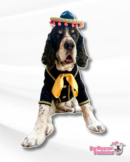 Fiesta Pup Mariachi Suit Dog Costume