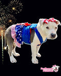 Pretty Patriotic Mini Overall Dog Denim Dress With Ruffle