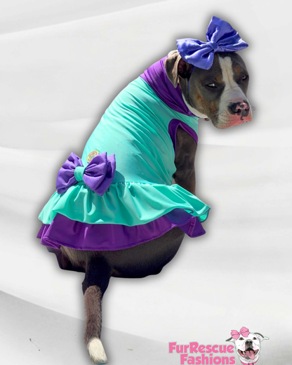 Seafoam Princess  Color Block Dog Dress