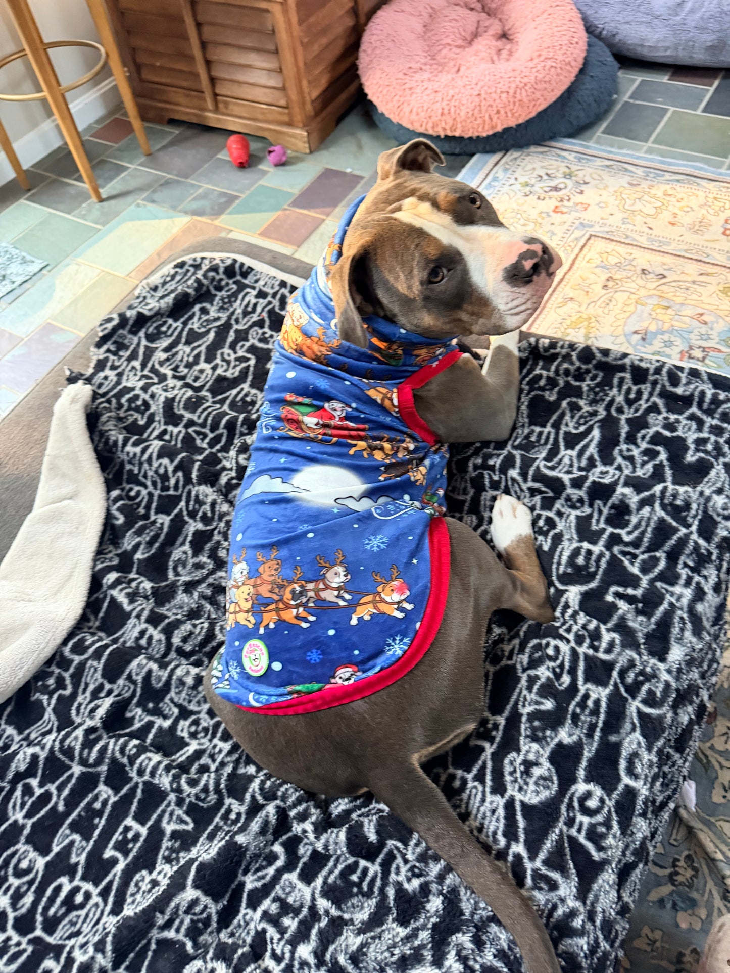 Sleighing All Day - Dog Pajama with Red Neck & Trim/Sleeves