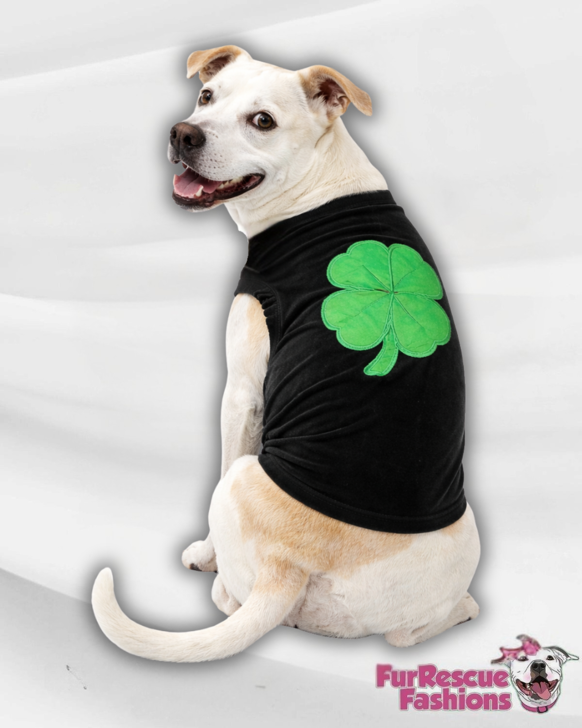 Lucky Charm Shamrock Dog Shirt