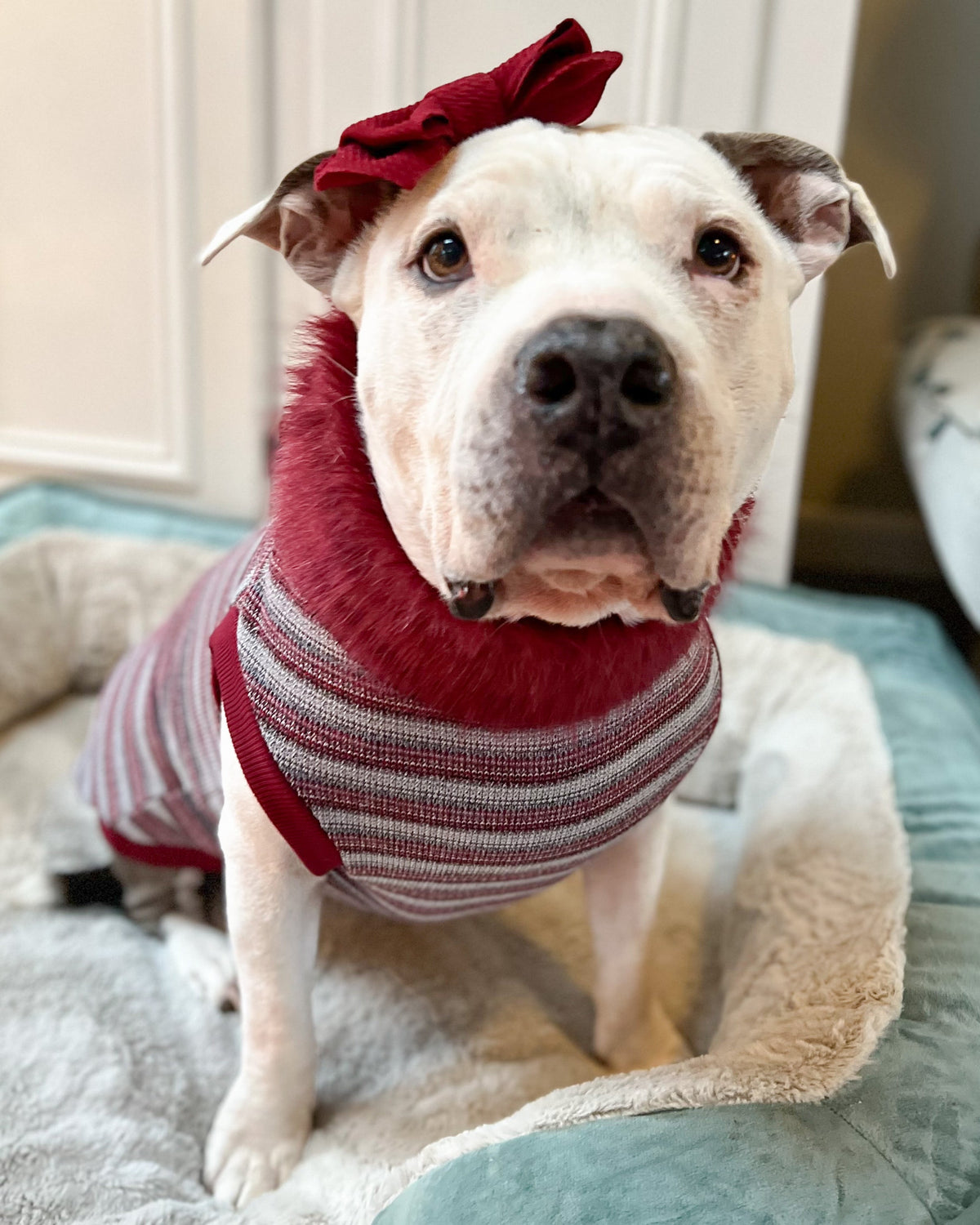 Cranberry Cozy Knit