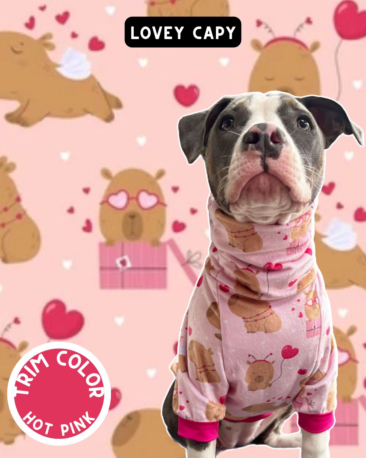 Lovey Capy Dog Pajama with Hot Pink Neck & Trim/Sleeves