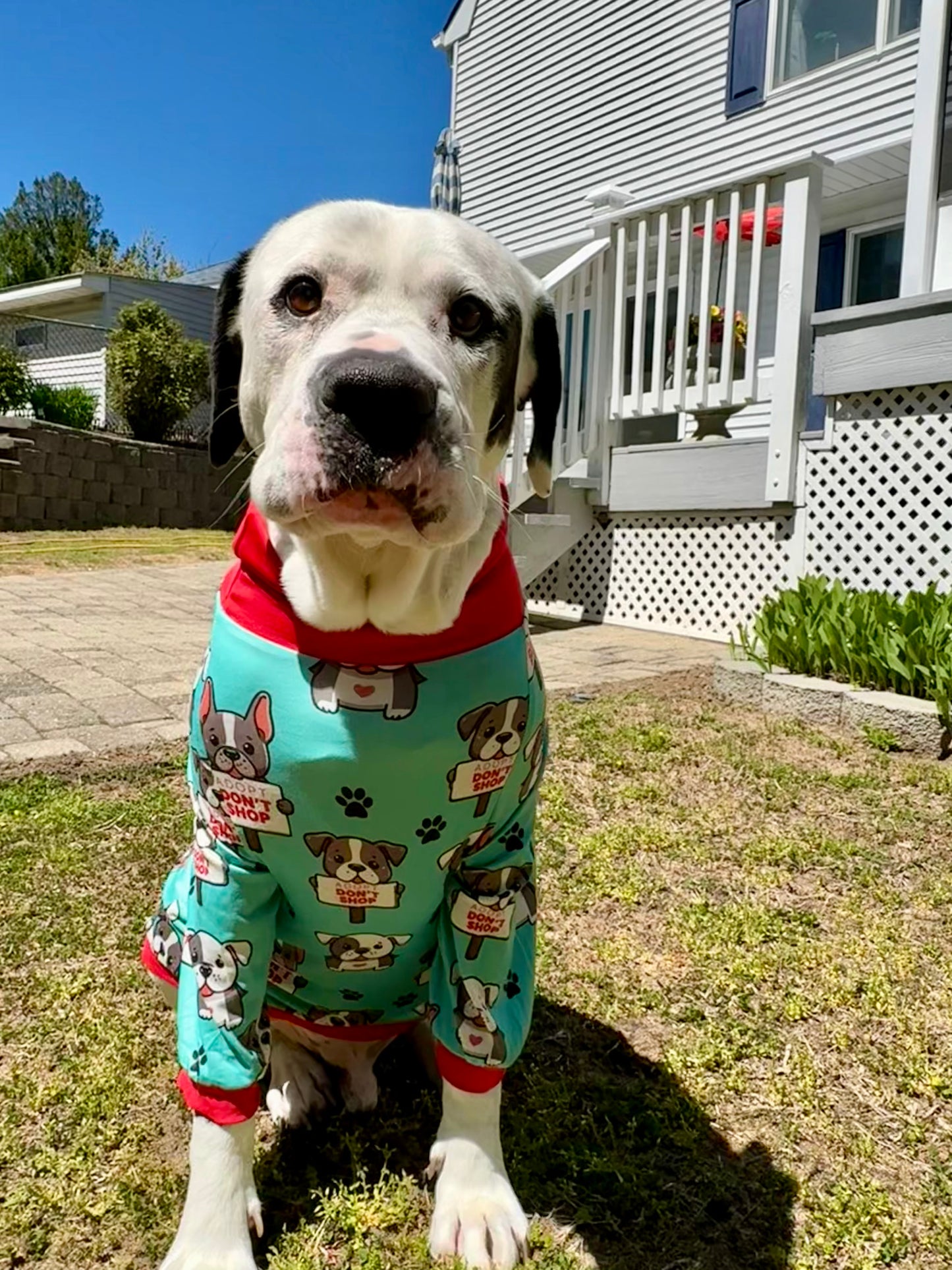 Adopt Don’t Shop - Dog Pajama with Red Neck & Trim/Sleeves