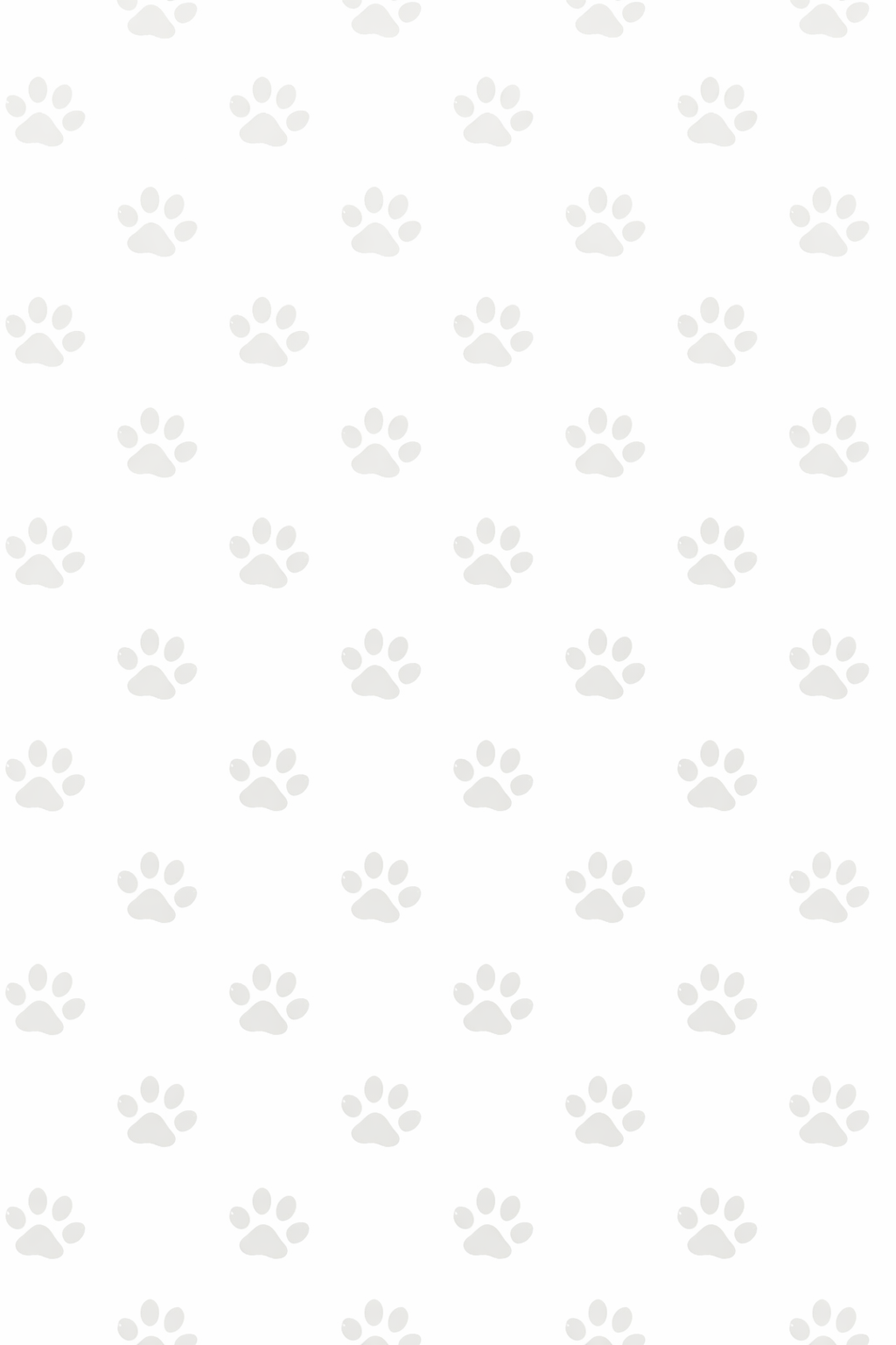 England Dog Jersey or Ruffle Dress – Soccer Cup 2026 | Custom Pet Soccer Shirt ⚽️🐾