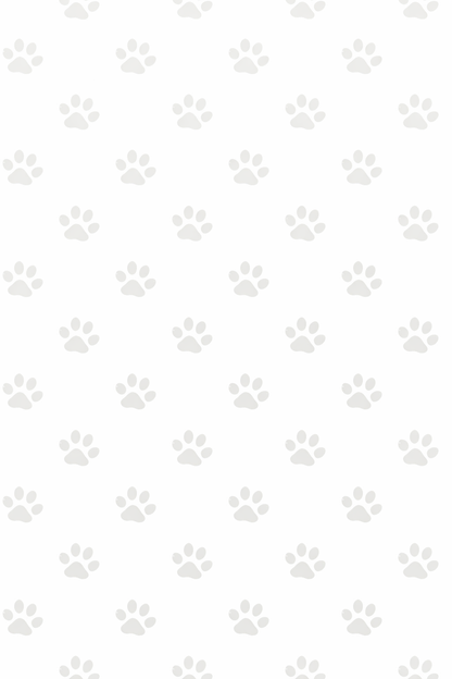 England Dog Jersey or Ruffle Dress – Soccer Cup 2026 | Custom Pet Soccer Shirt ⚽️🐾