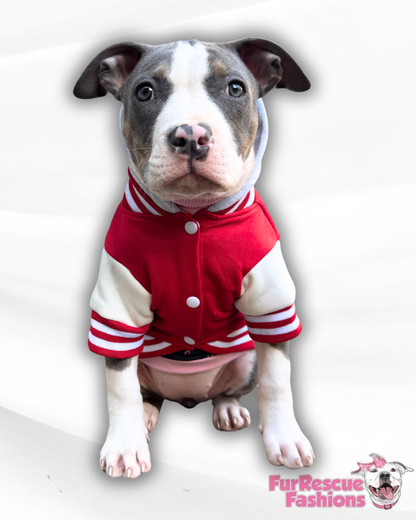 Paw Squad Varsity Hoodie – Dog Letterman Jacket with Hood (Available in Red, Pink & Blue)
