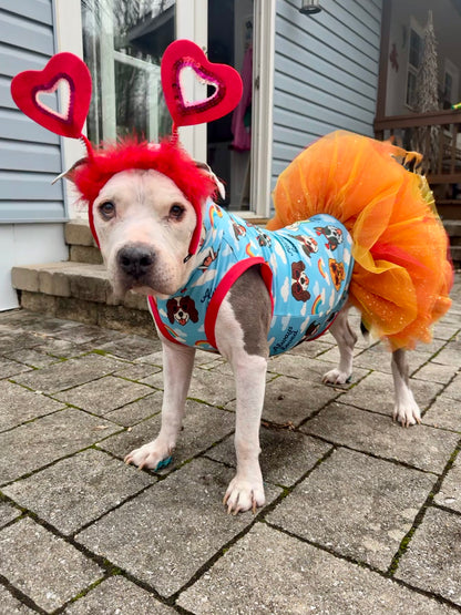 My Fur-Ever Valentine Dog Tutu Dress (Available in any pattern from this preorder)