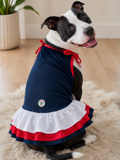 Americana Sweetheart Dog Dress