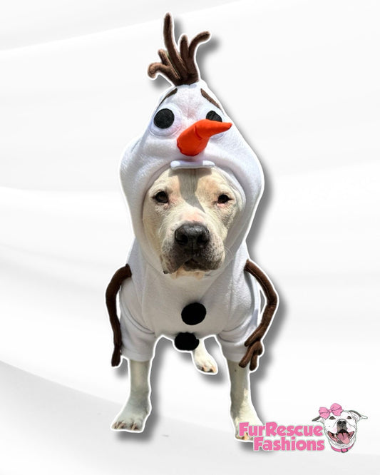 Olaf Snowman Dog Costume