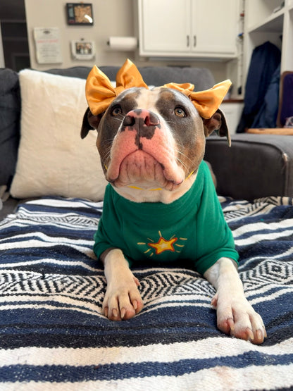 Pizza Christmas Tree Dog Sweater