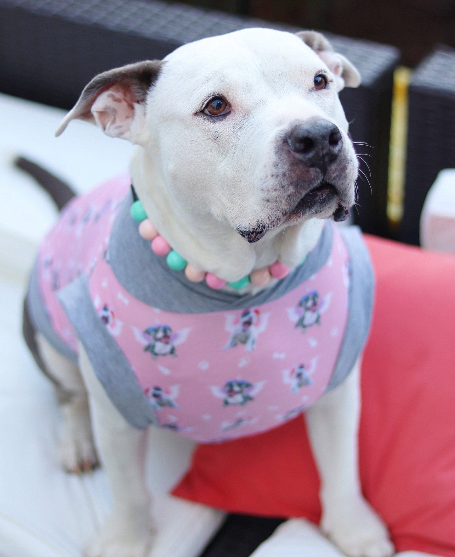 Magical Pittie Angels (Pink, Blue or Yellow)