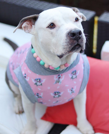 Magical Pittie Angels (Pink, Blue or Yellow)