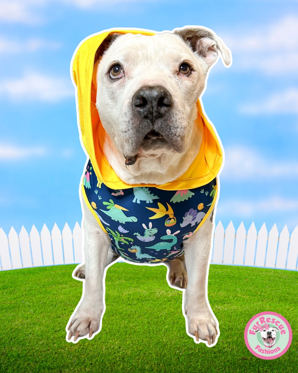 Bunnysaurus Pajama with Yellow Neck & Trim/Sleeves