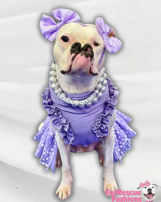 Lavender & Flowers Dog Dress With Ruffles