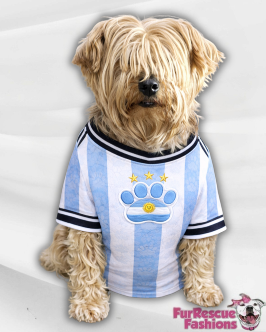 Argentina Dog Jersey or Ruffle Dress – World Cup 2026 | Custom Pet Soccer Shirt ⚽️🐾