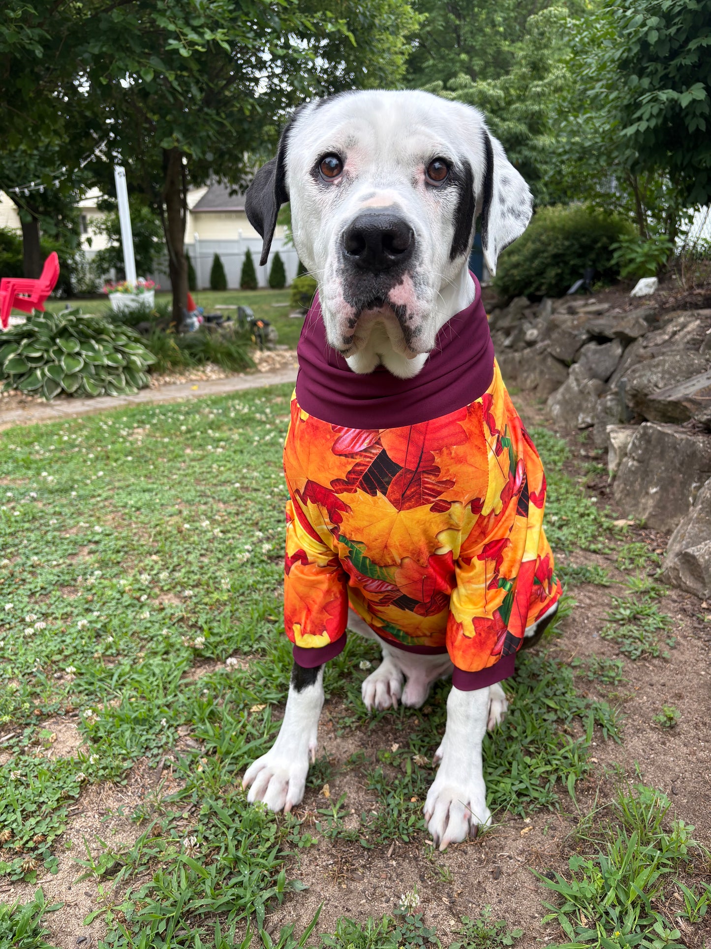 Autumn Harvest Leaves - Dog Pajama with Burgundy Neck & Trim/Sleeves