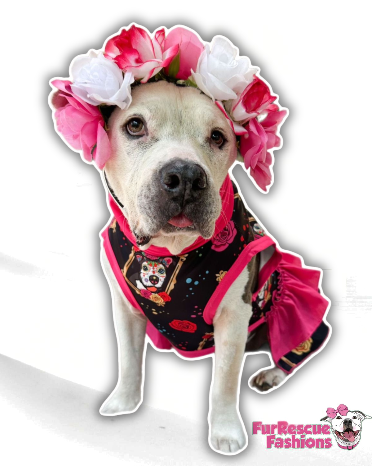 Vida Eterna - Dog Pajama with Red Neck & Trim/Sleeves
