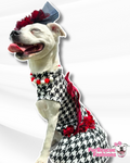 Kentucky Derby Dog Dress with Fascinator
