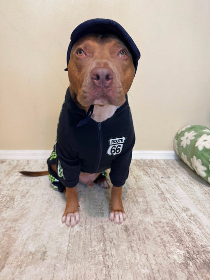 Pole Position Racing Dog Overall or Sweater With Or Without Hat