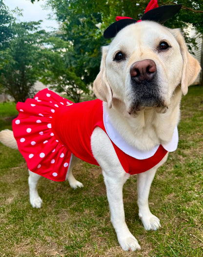 🎀 Miss Mouse – Polka Dot Dog Dress & Ears Bow