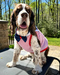 Off The Hook Striped Sailor Dog Shirt with Bowtie