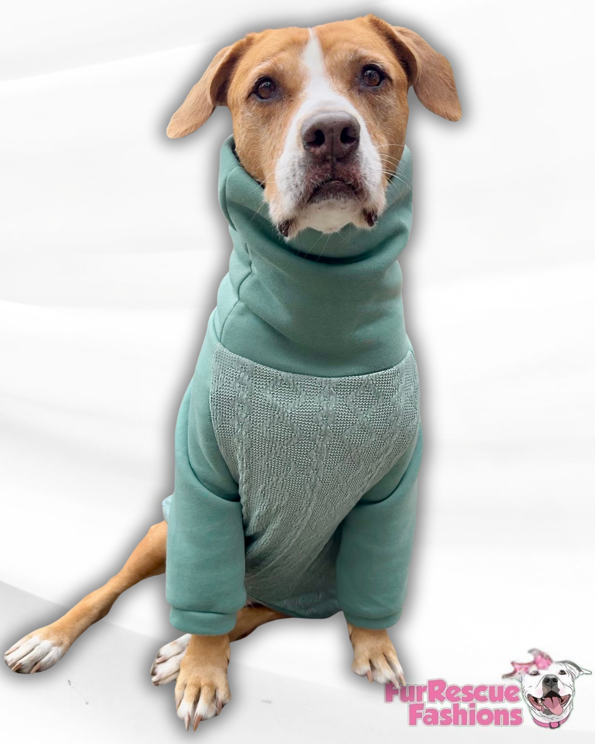 Sage Cozy Knit Dog Sweater – Soft Fleece & Cable Knit with Sleeveless or Raglan Options