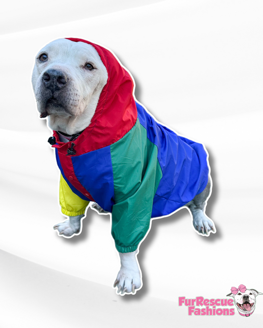 Multicolored Rain Jacket - Cape - Vest