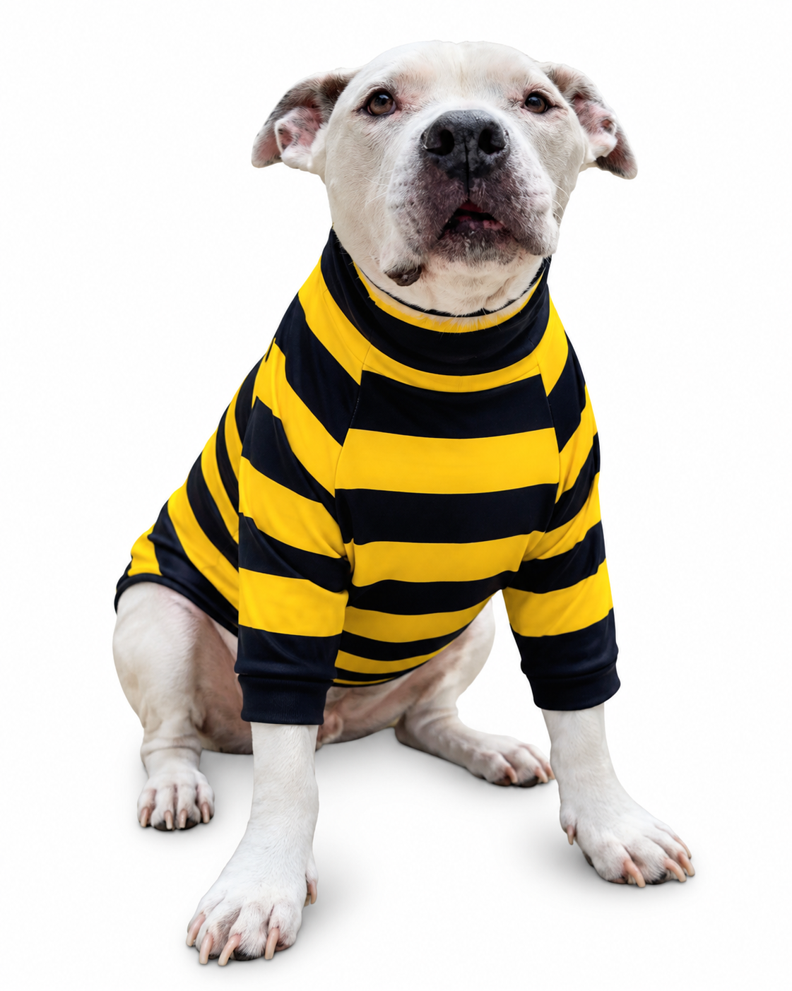 Bee Happy Striped Dog Shirt/Dress/4-Legged PAWjama (Classic Fabric)