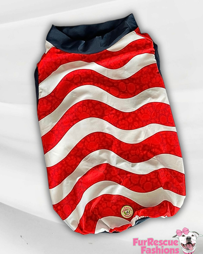 USA Dog Jersey or Ruffle Dress – Soccer Cup 2026 | Custom Pet Soccer Shirt ⚽️🐾