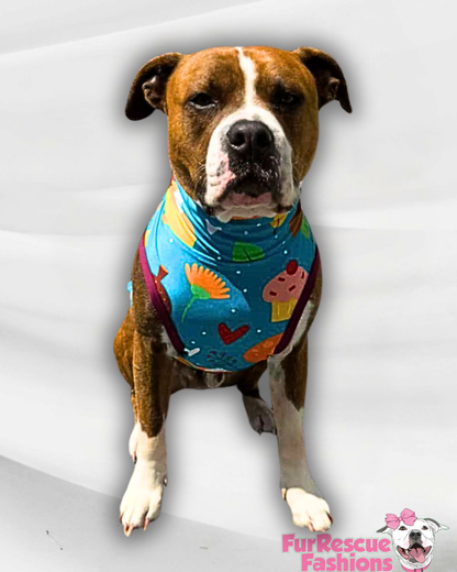 Cozy Pumpkin Spice Fall Flavors - Dog Pajama with Burgundy Neck & Trim/Sleeves