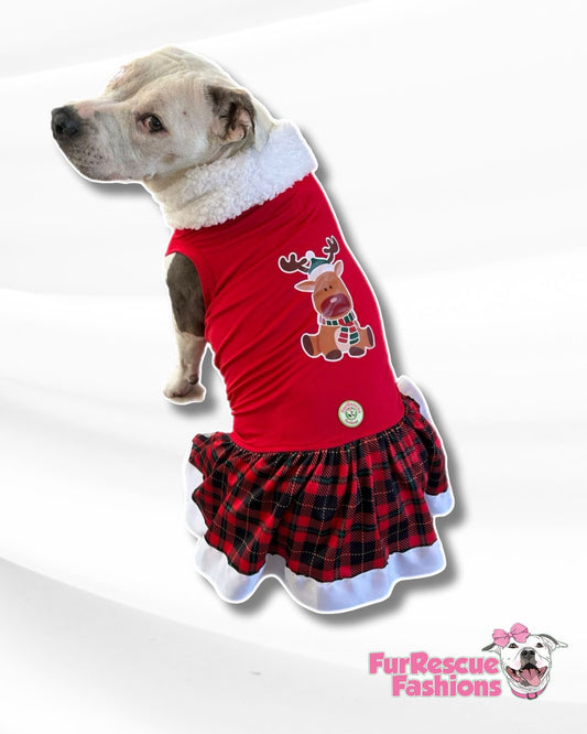 Rudolph Dog Dress