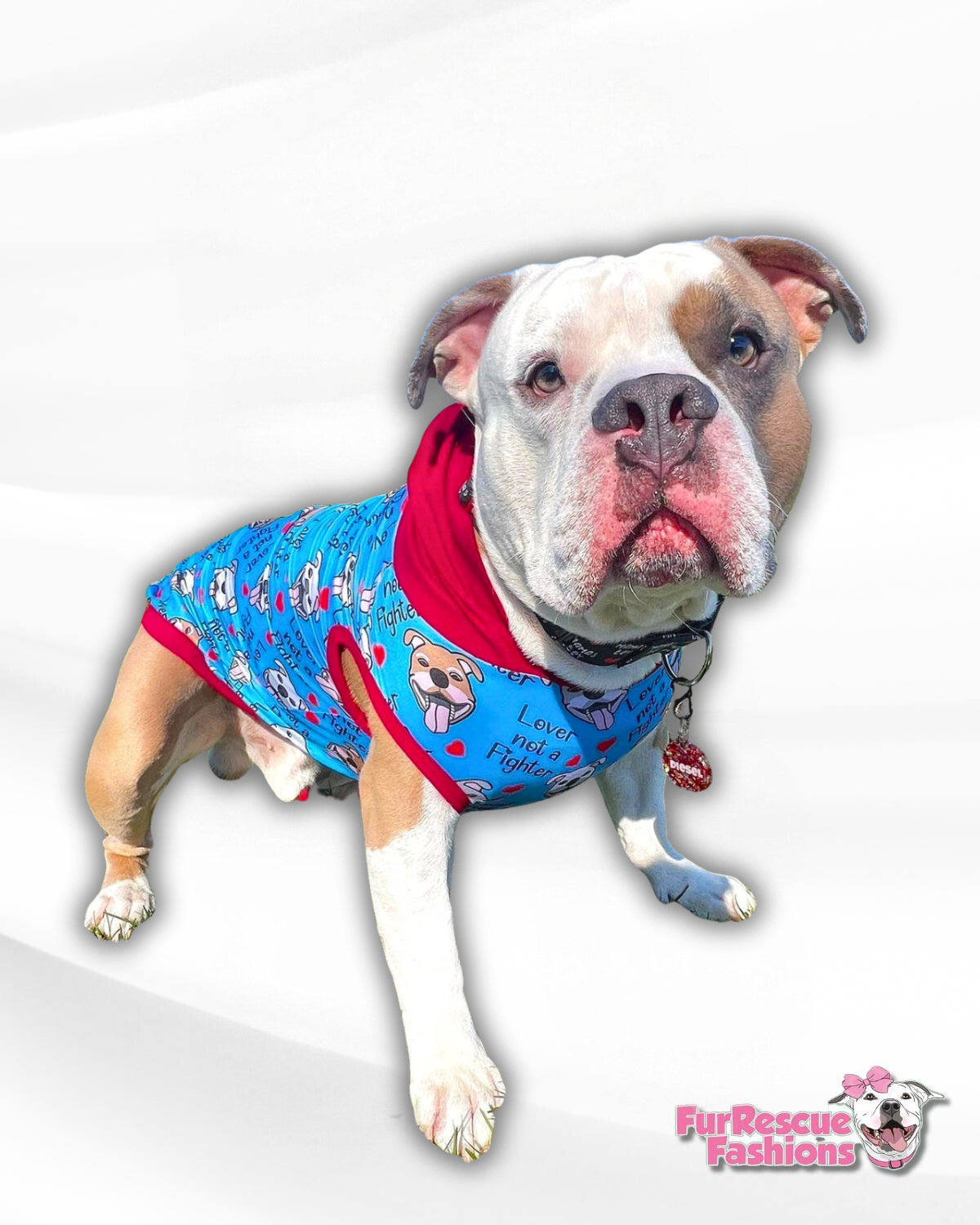 Lover Not A Fighter in Blue - Dog Pajama with Red Neck & Trim/Sleeves