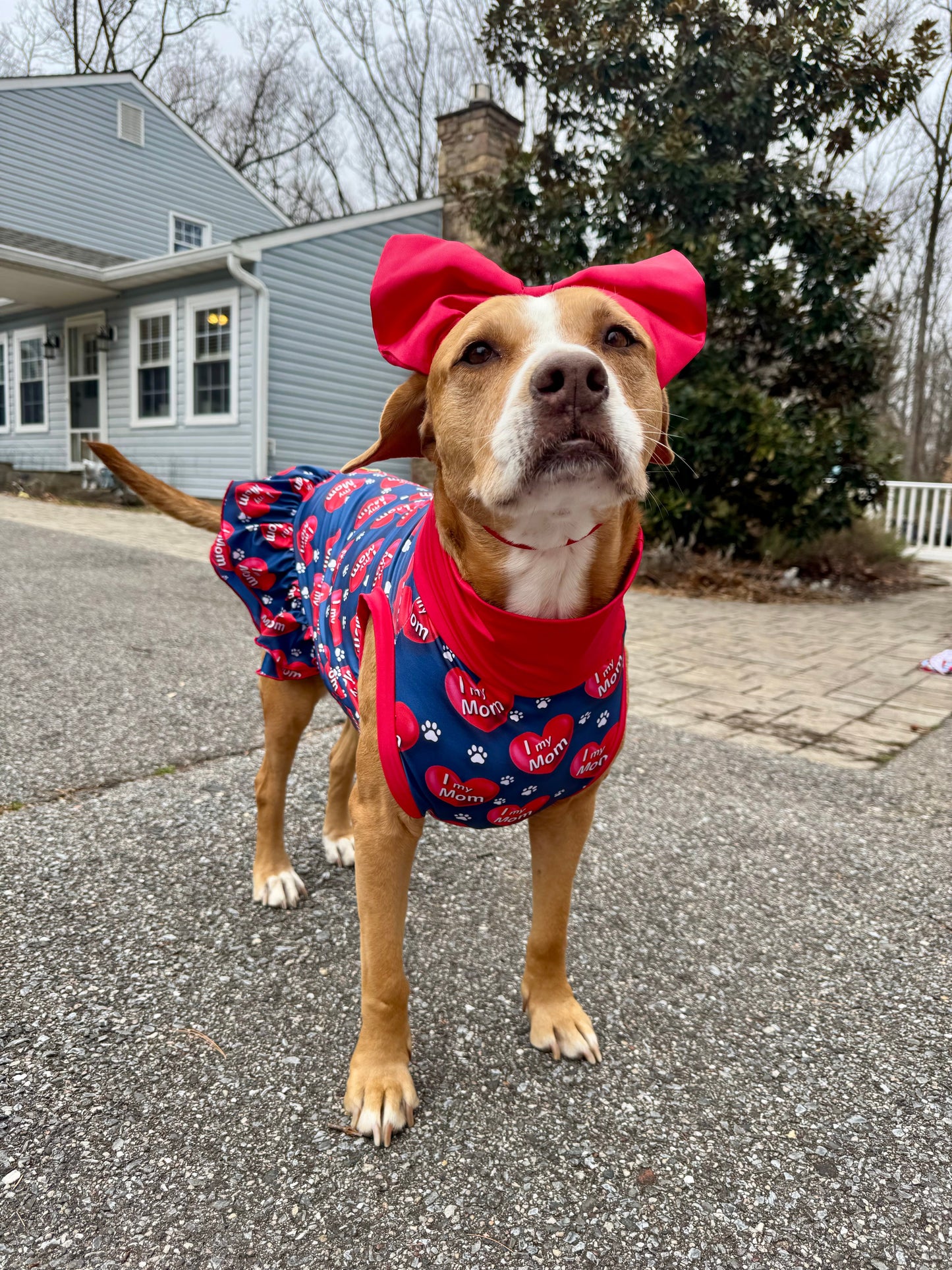I Love My Mom - Navy Blue - PAWJama with Red Trim & Neck