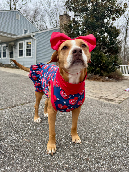 I Love My Mom - Navy Blue - PAWJama with Red Trim & Neck