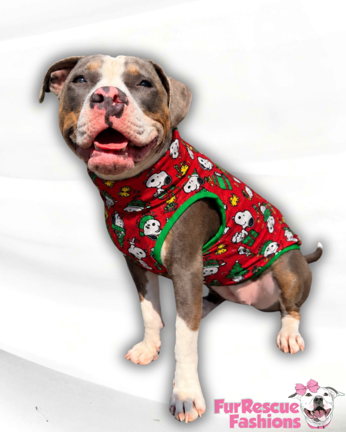 A Very Snoopy Christmas Ultra-Luxe - Dog Pajama with Green Neck & Trim/Sleeves