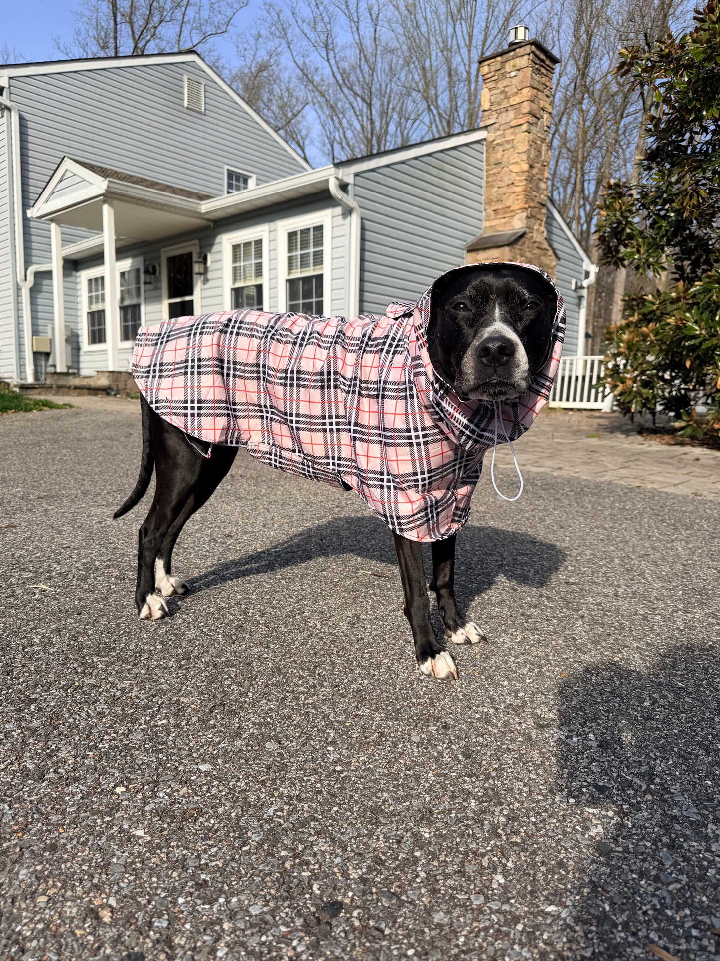 Classic Chic Barkberry Plaid Rain Jacket - Cape - Vest
