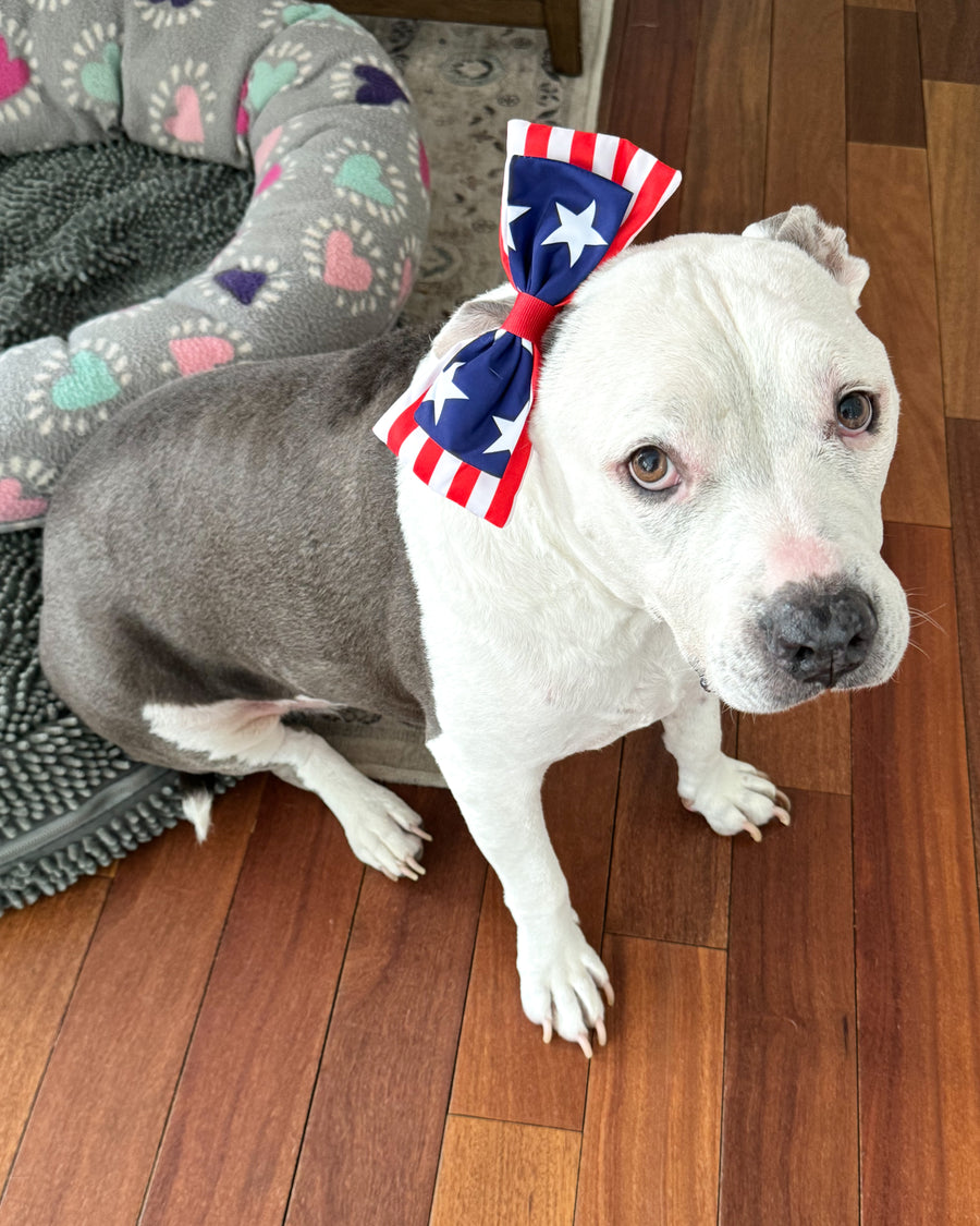 Patriotic Doggie Bow