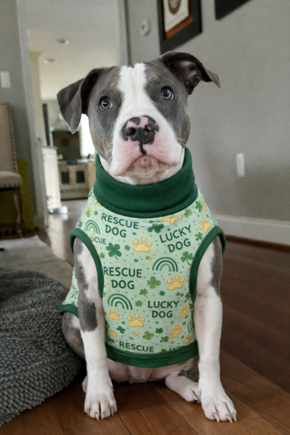 Lucky Dog Dog Pajama with Gold Neck & Trim/Sleeves