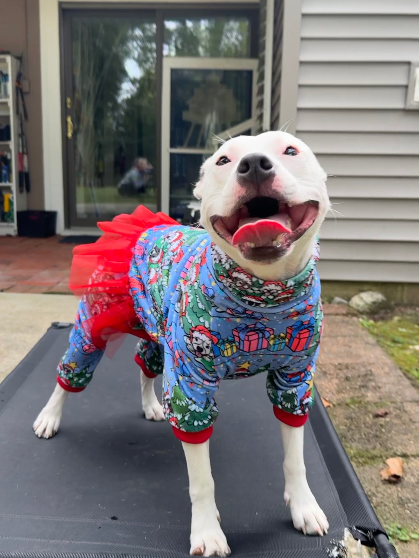 Pitties in the Pines Dog Pajama with Ref Neck & Trim/Sleeves